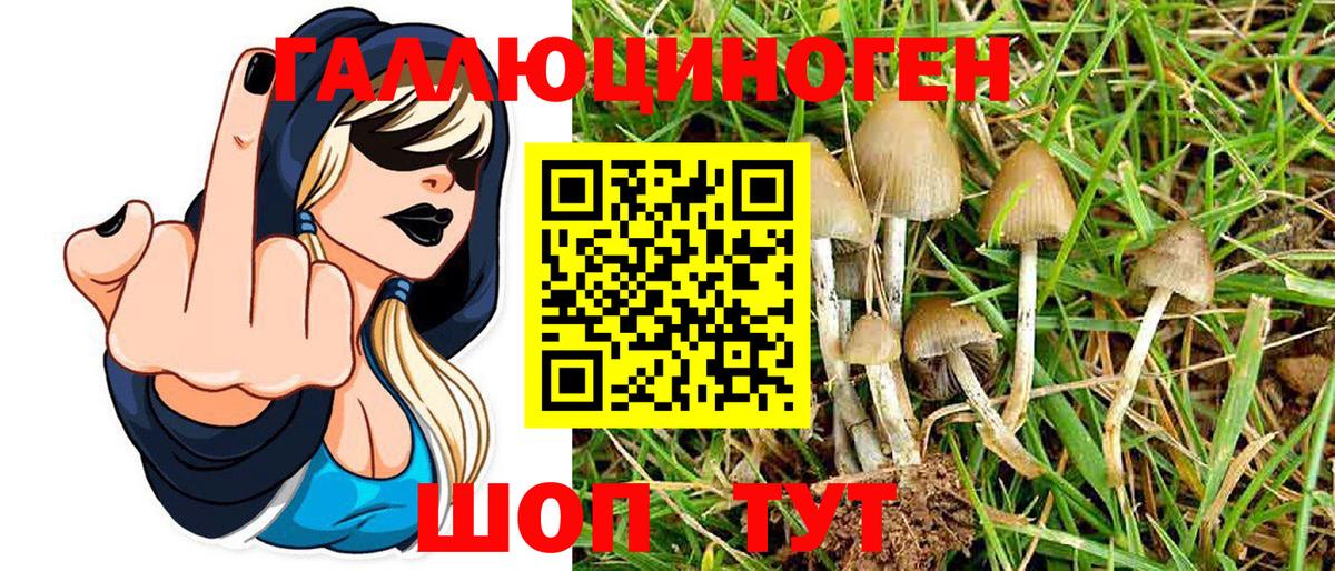 Галлюциногенные грибы Magic Shrooms  Вход с VPN  Канаш  Галлюциногенные грибы GOLDEN TEACHER 